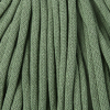 Eucalyptus